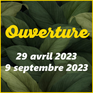 vacances 2023 camping ardèche